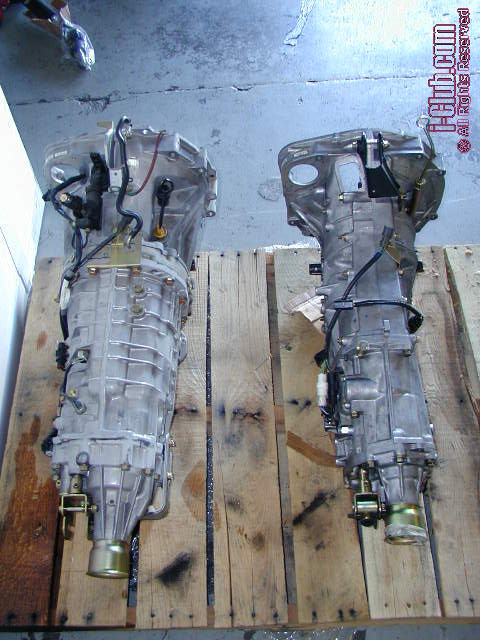 6mt_rear.jpg