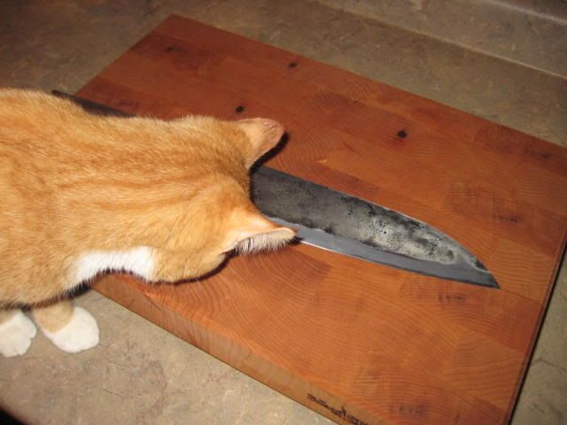 maple_05.jpg