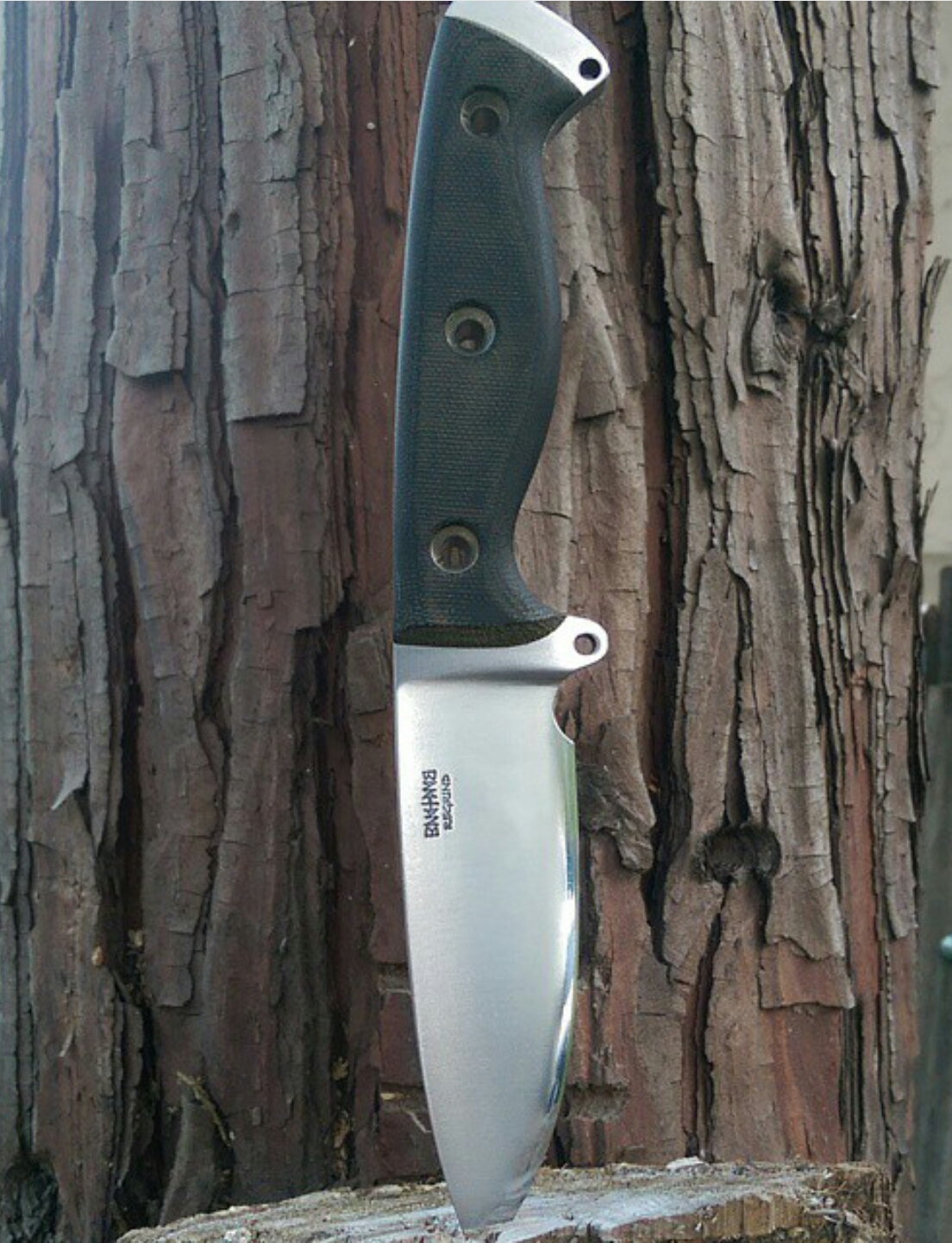Odek83S.jpg