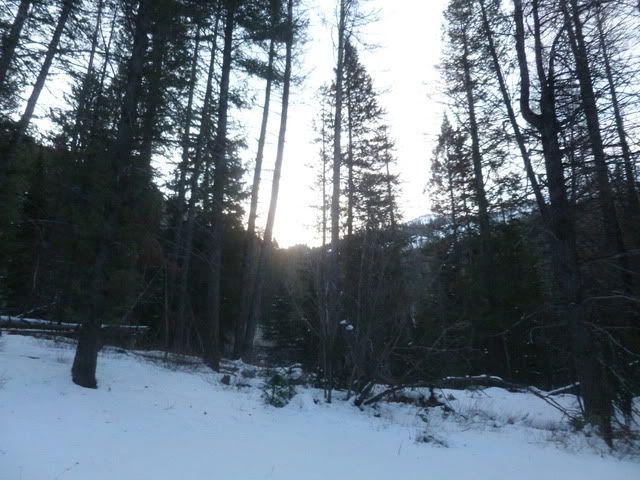 P1020220.jpg