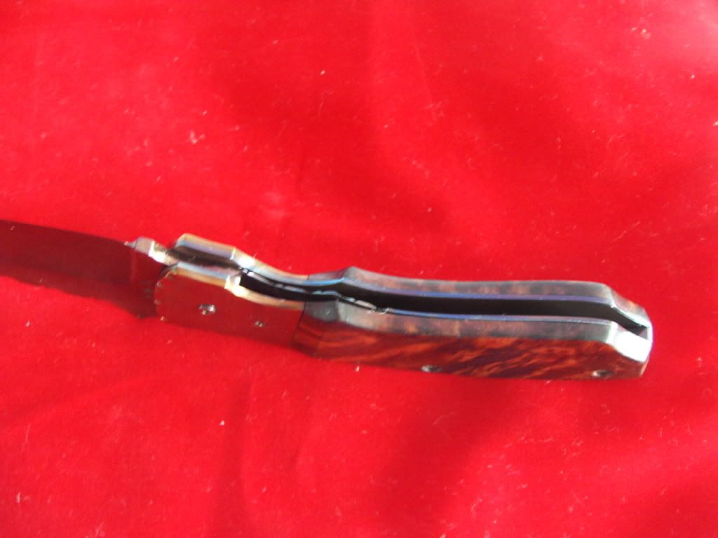 KIF_3347.jpg