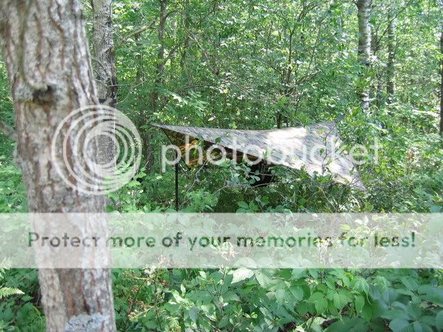 IMG_1237.jpg