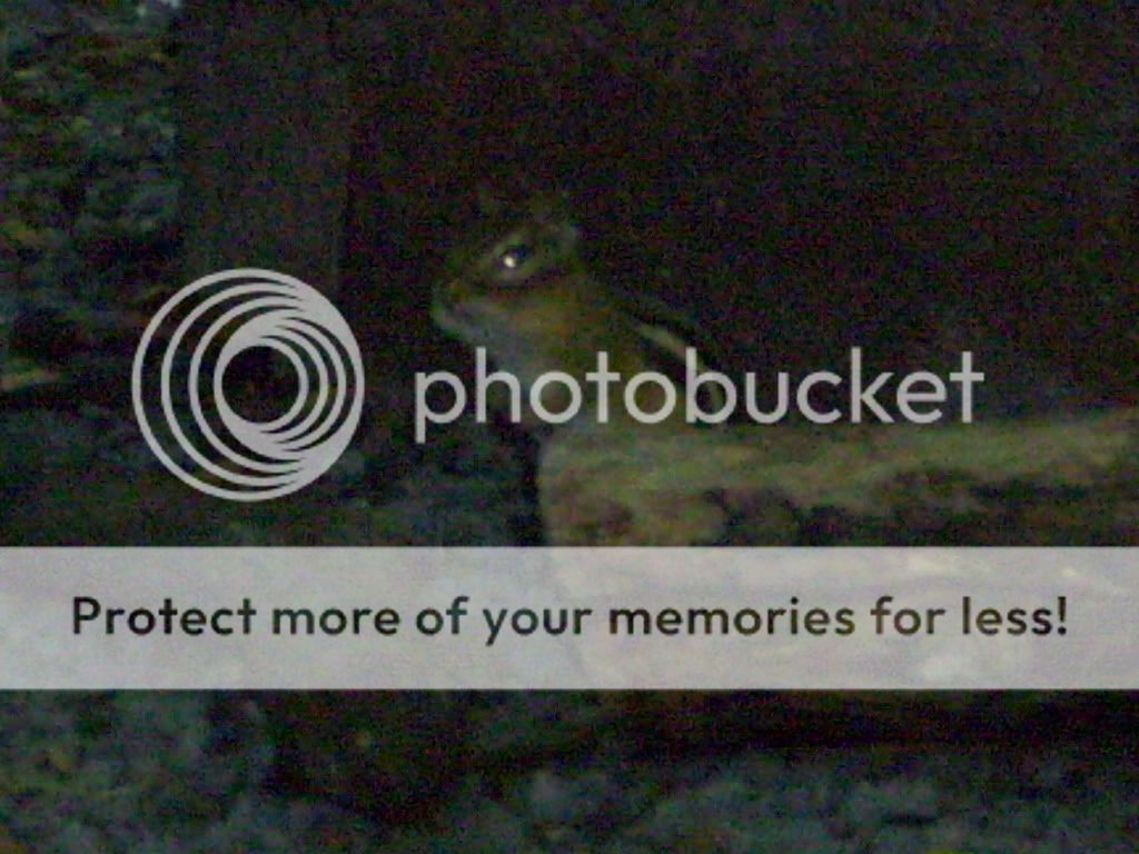 100_1081.jpg