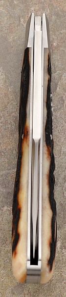 tbose-412stagsaddleback4-5.jpg