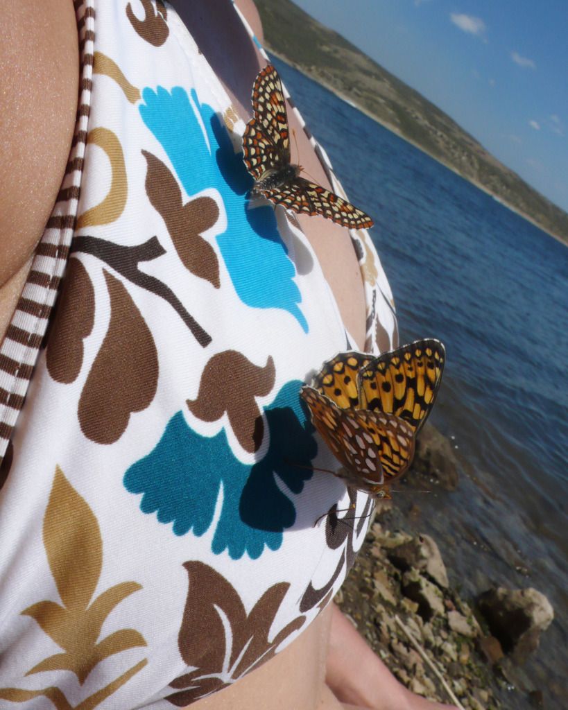 L1040273ButterflyBikini.jpg