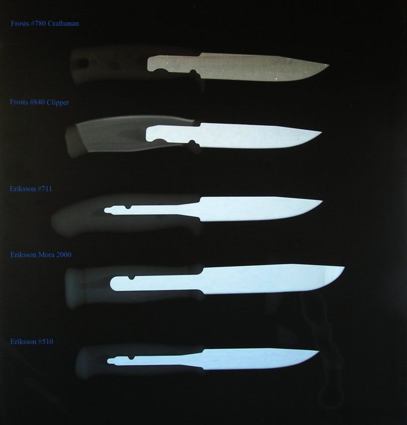 Mora-Xray.jpg