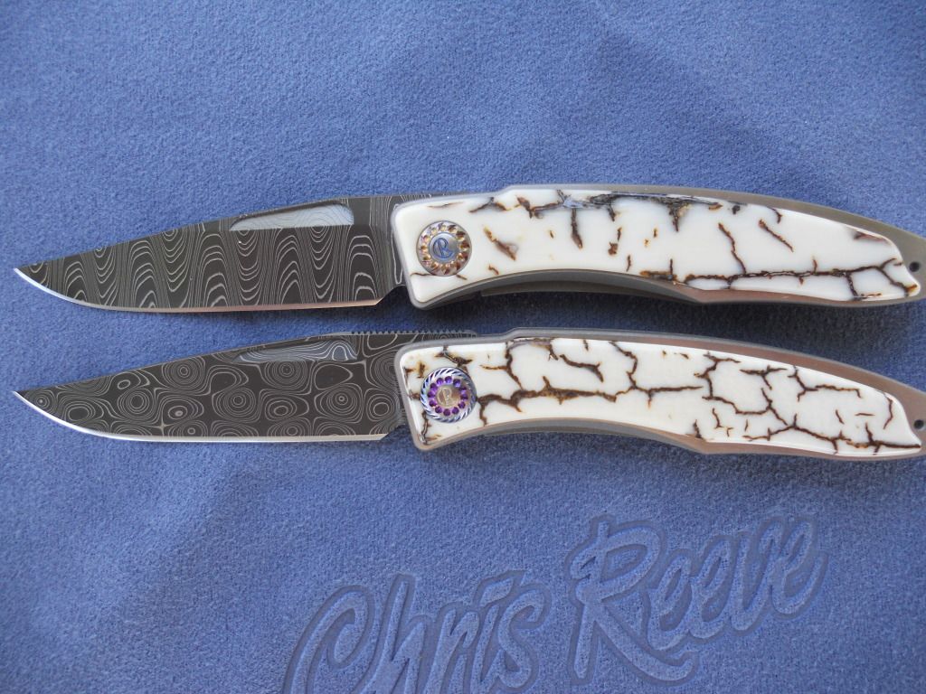 DSCN1710.jpg