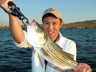 piclipper9.jpg