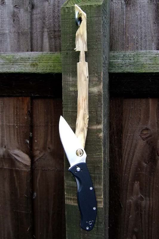 2008_JuneSpydercotenaciousF30014.jpg