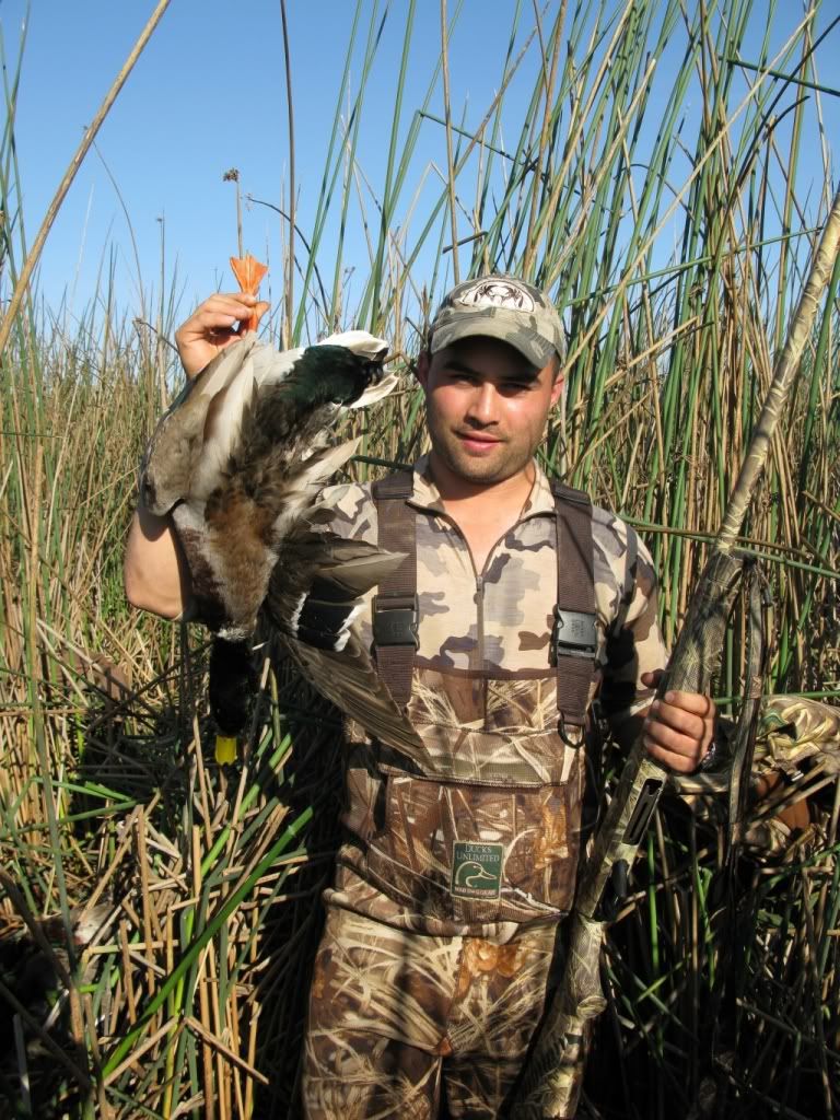 kuiu_mallard.jpg