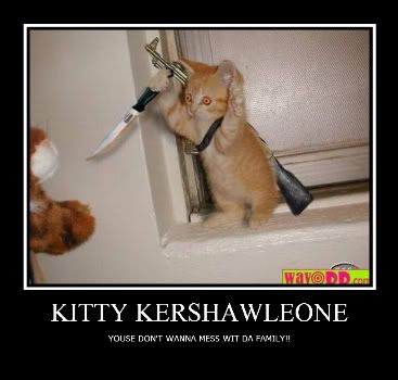 funny-pictures-killer-kitten-1ka-1.jpg