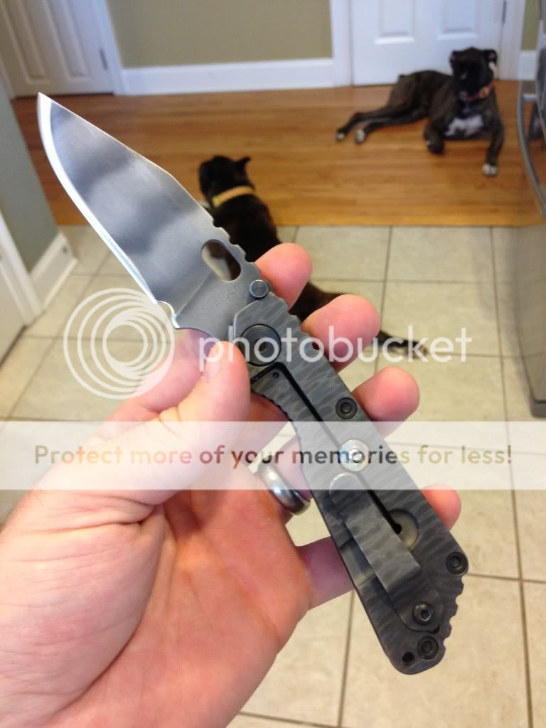 null_zpse8132322.jpg