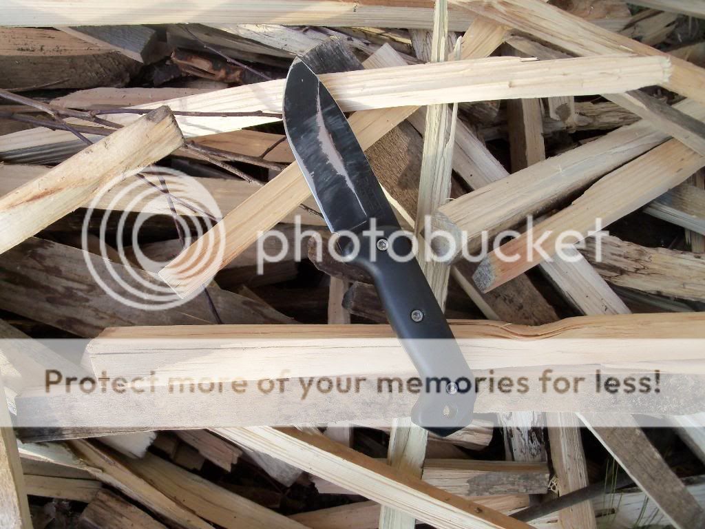 100_4608.jpg