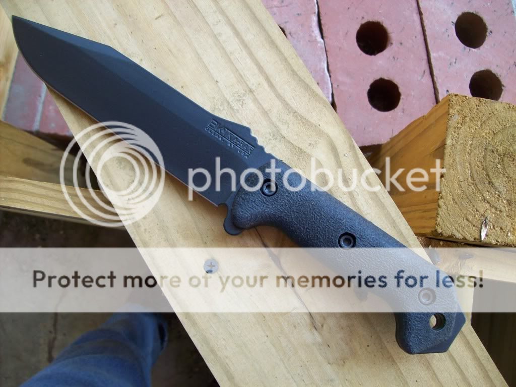 PictureorVideo1296.jpg