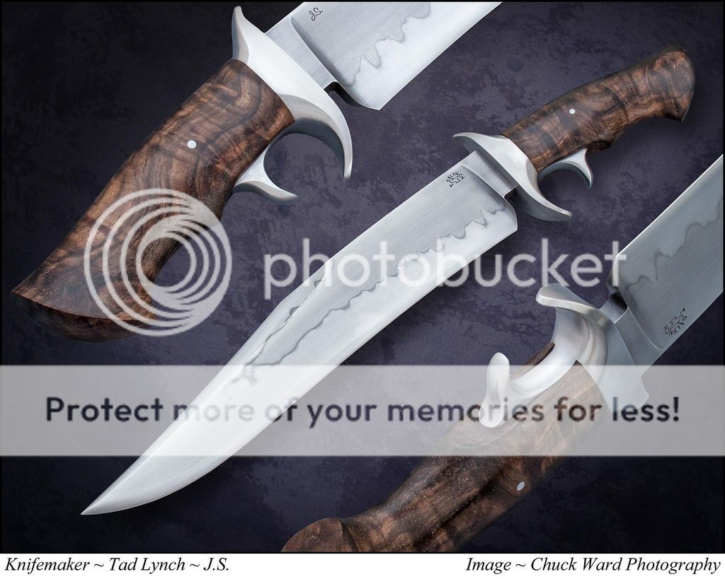 16993513278_f0791c48fb_b.jpeg