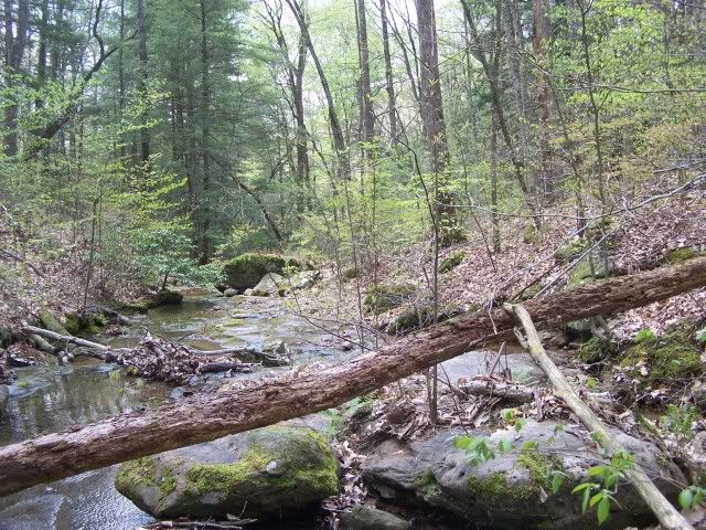 100_2898-1.jpg