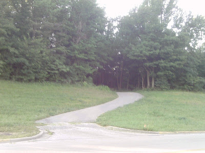 IMAG0153.JPG
