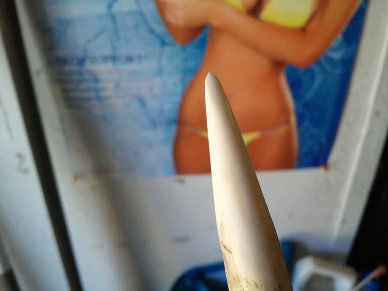 2012-07-02143353.jpg