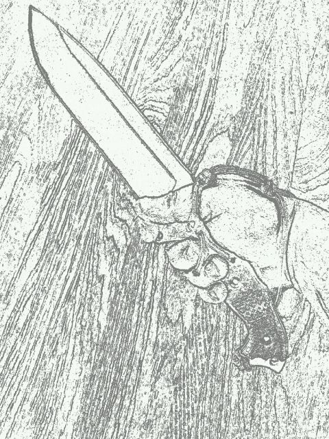 PaperCamera2012-04-18-10-12-22.jpg
