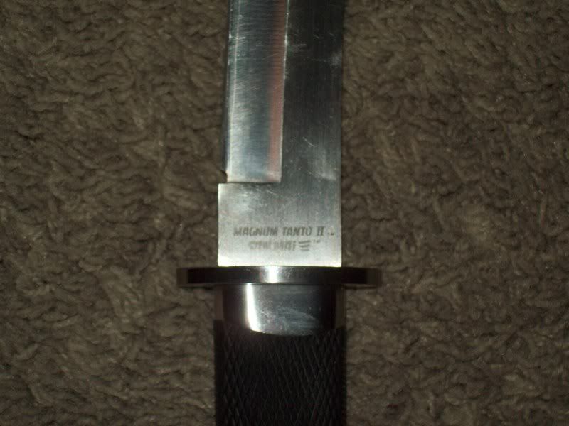 Picture002.jpg