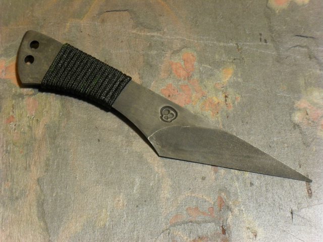 qXO1tdil.jpg