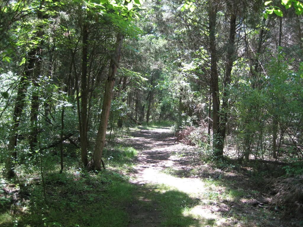 IMG_0265.jpg