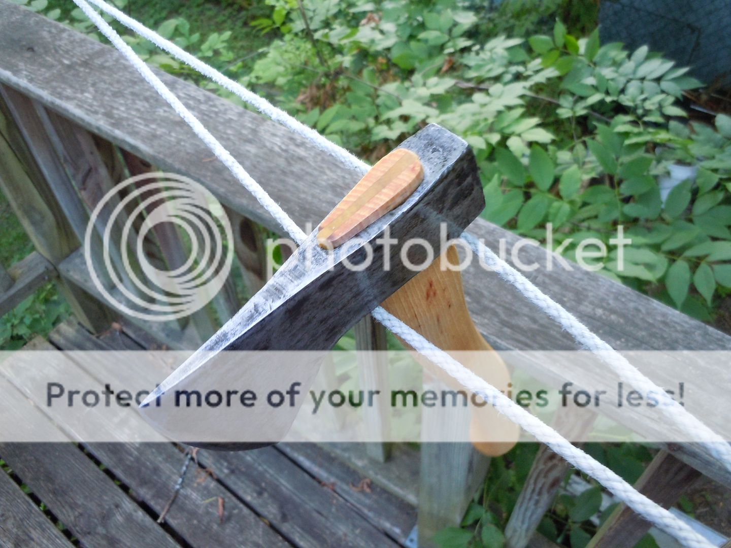 DSCN1146.jpg