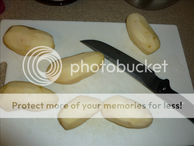 P1010029-resized_zps53ea3780.png