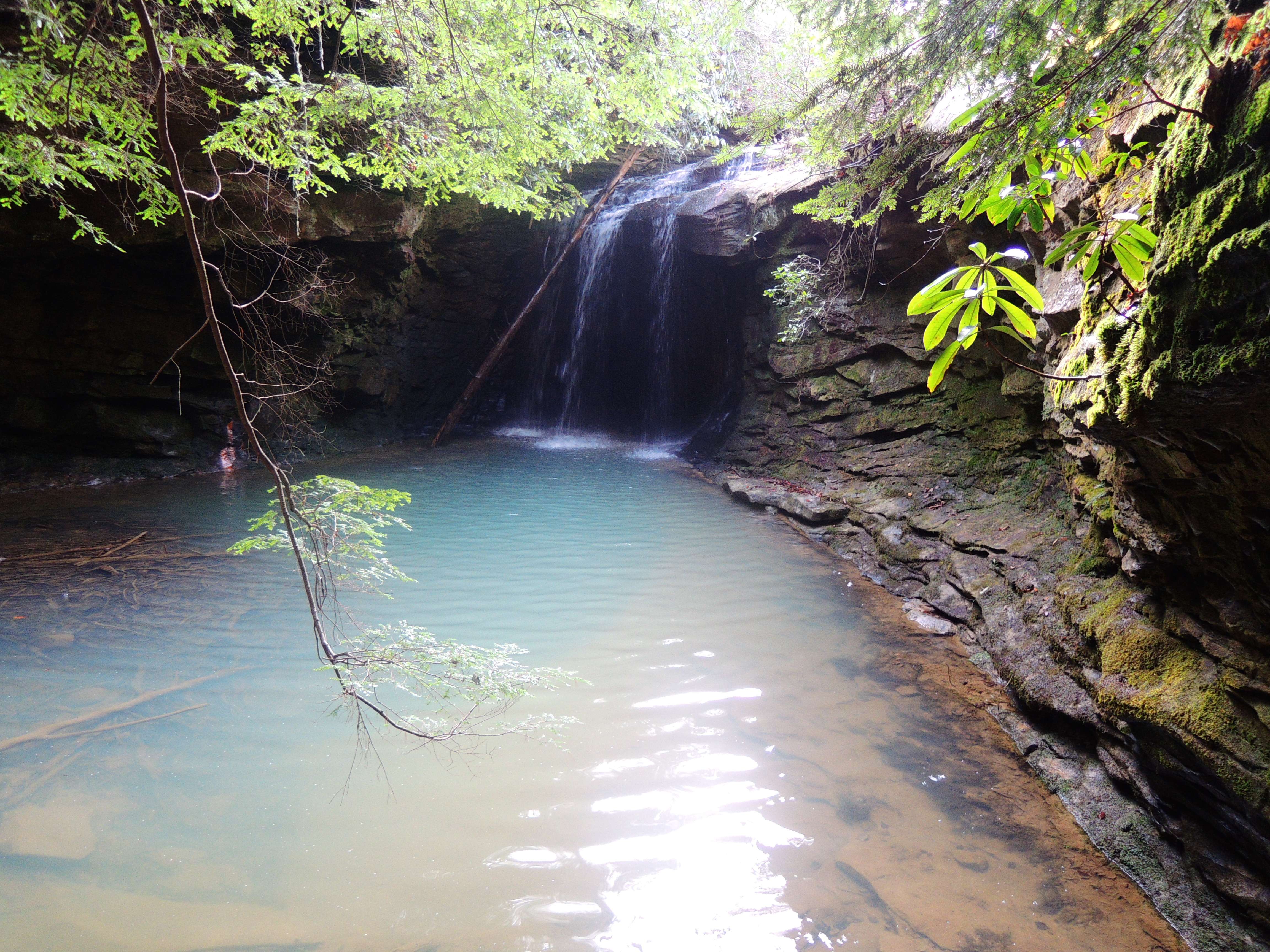 dscn5155s.jpg