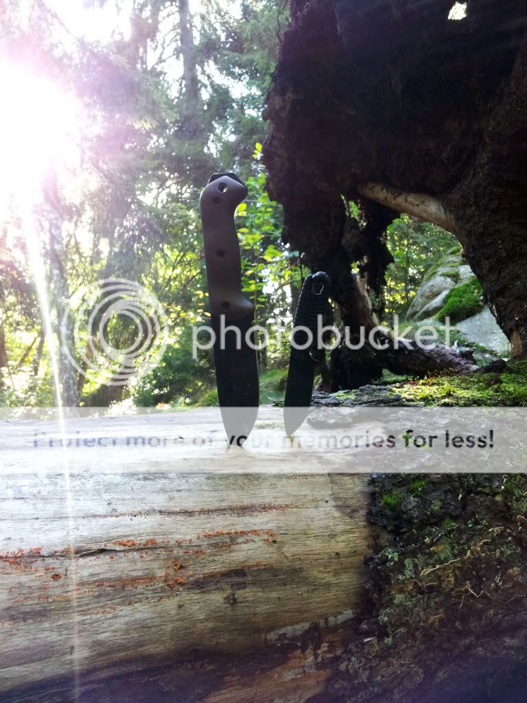 2011-09-17150051.jpg