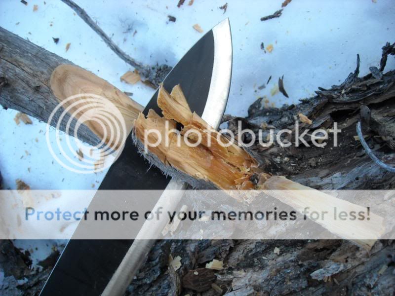machete010.jpg