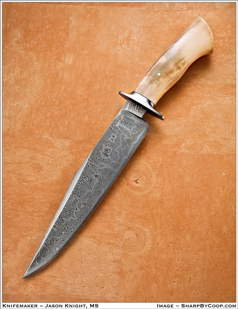 Knight_768-966.jpg