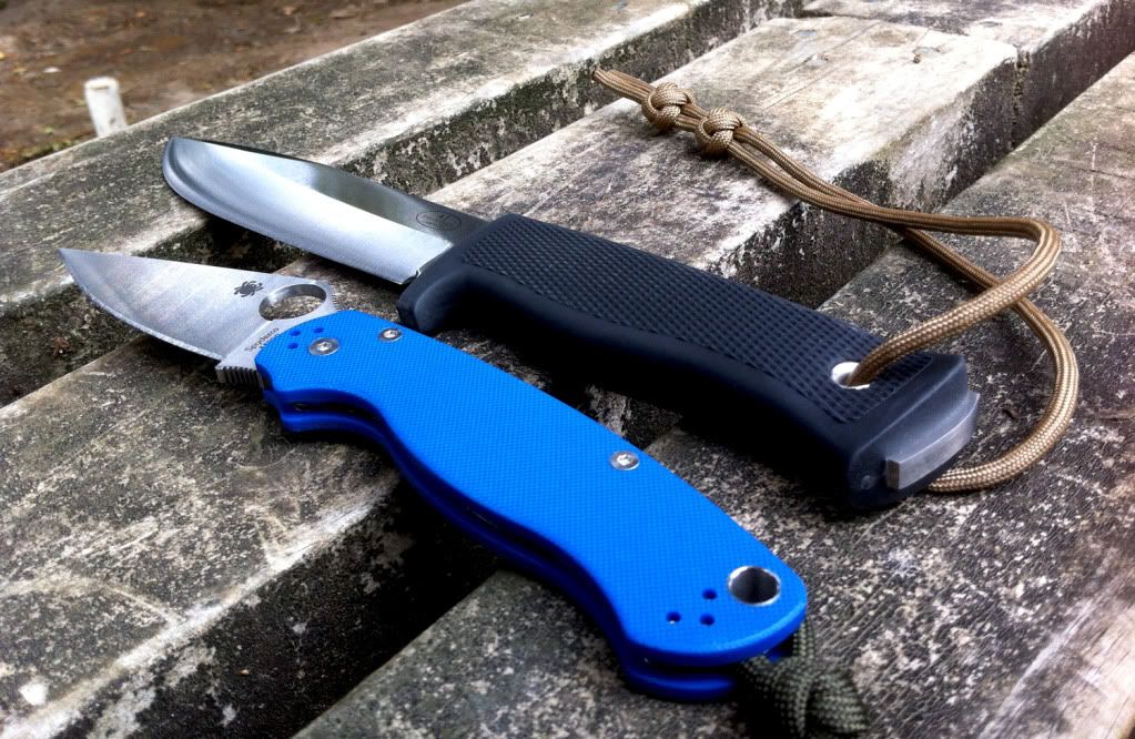 Spyderfallk2.jpg