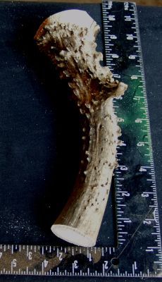 591b.jpg