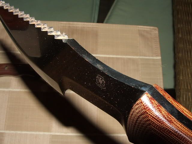 DSCF2492.jpg