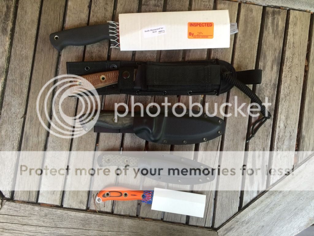 2CBA1F1D-0CD2-4B54-ACE9-90E76E22A226.jpg