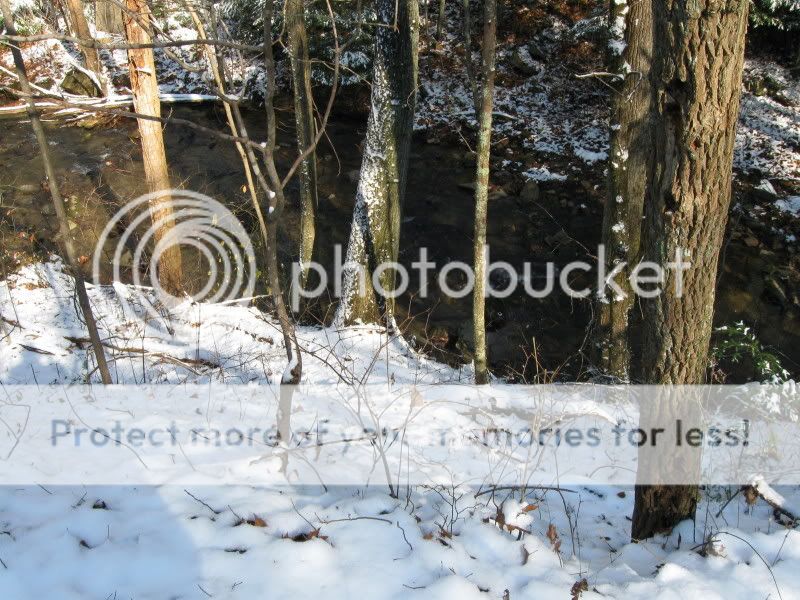 IMG_8689.jpg