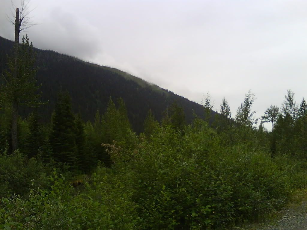 mtn.jpg