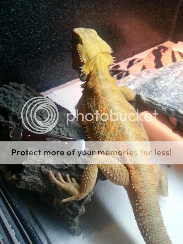 20130923_190038.jpg
