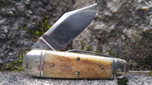 tosi4P6l.jpg