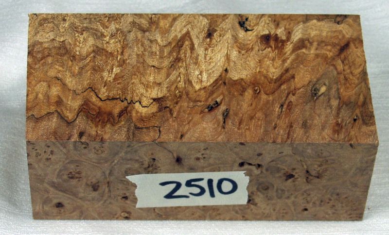 2510a.jpg