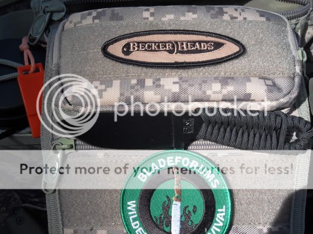 SDC11146.jpg