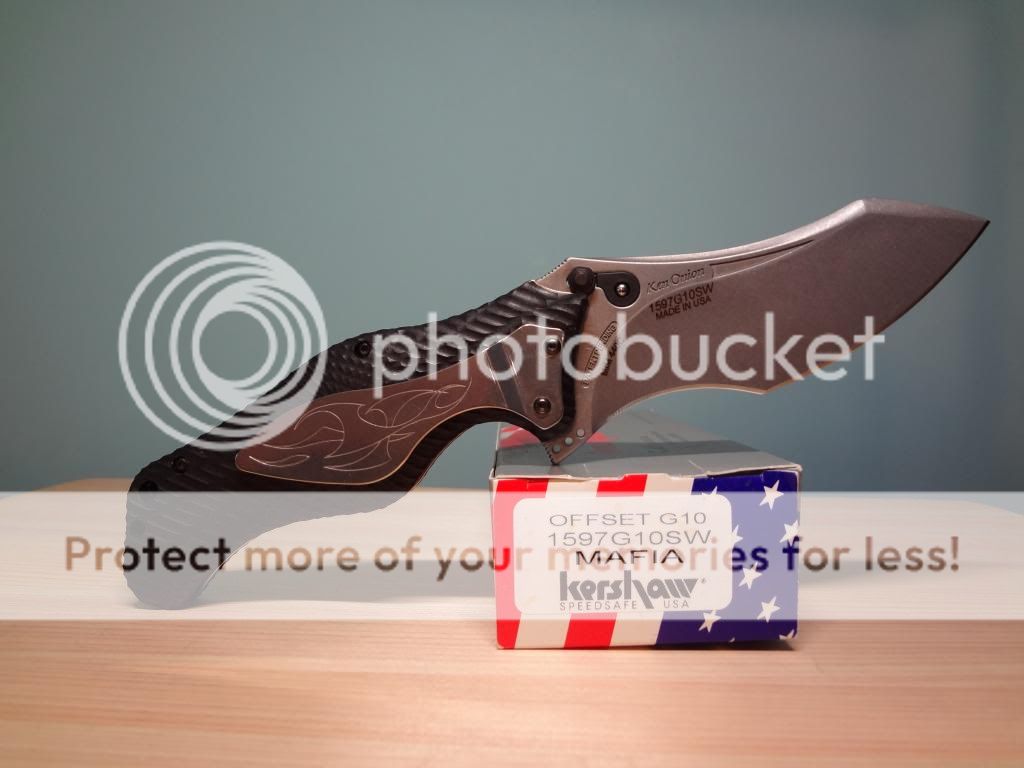 DSC01294_zps1d6e70d6.jpg