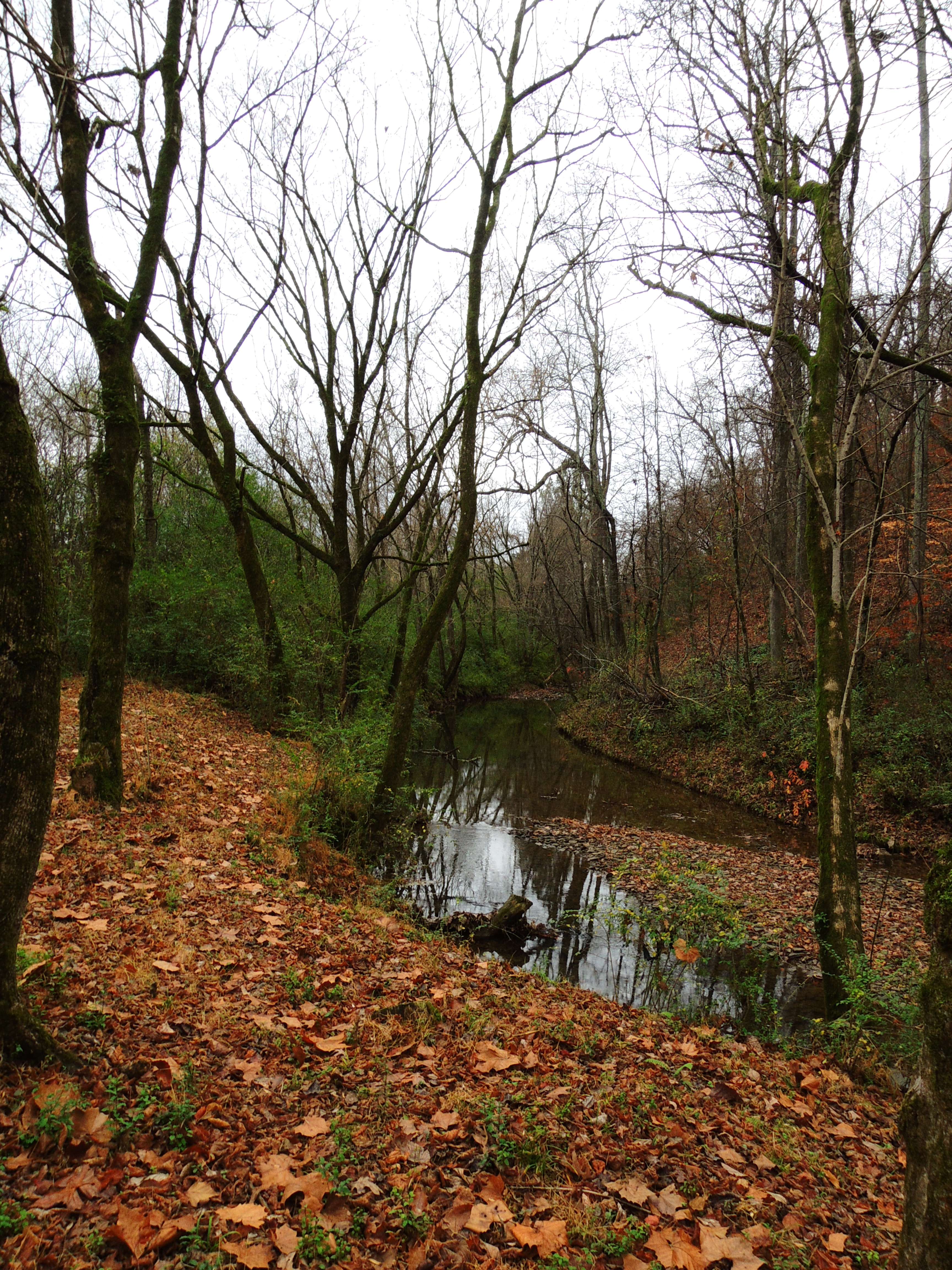 dscn3516d.jpg