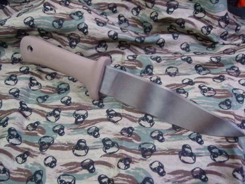 SANY0213.jpg