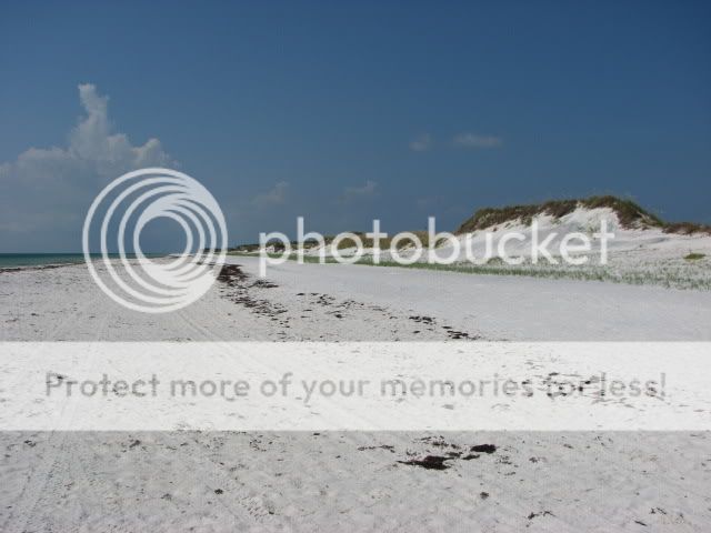 IMG_0123.jpg