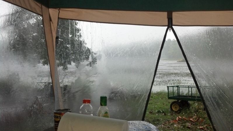 2012-09-08_16-37-58_569.jpg