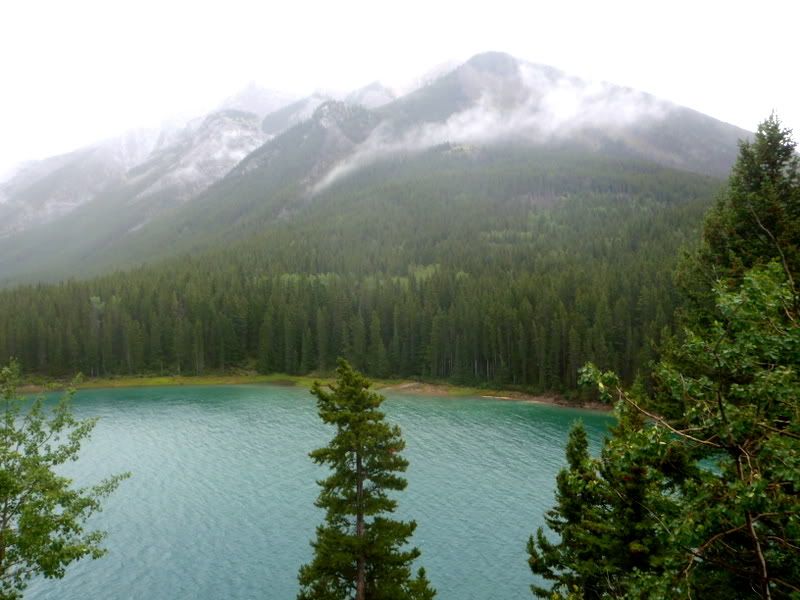 Banff2012228.jpg