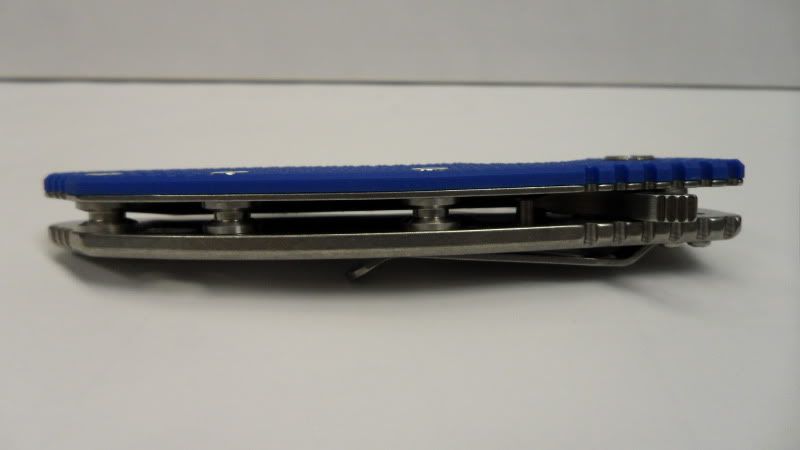 SAM_0599.jpg