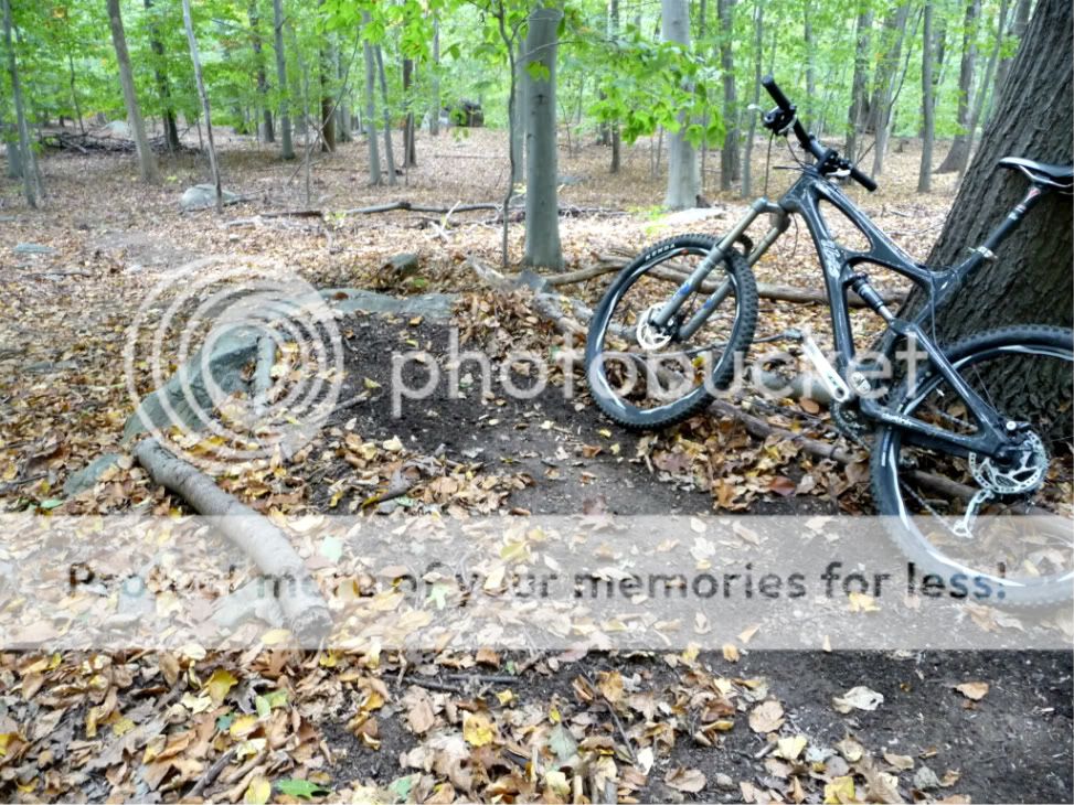 MTBGraham004.jpg